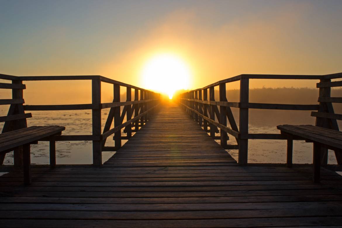 beach-bench-boardwalk-276259.jpg
